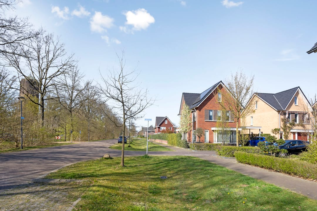 Foto 43 van Aalscheer 3