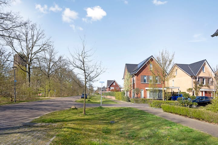 Foto 43 van Aalscheer 3