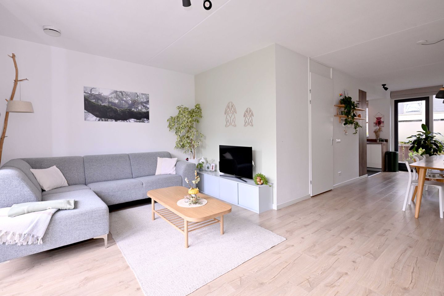 Foto 4 van Albert Haelweghstraat 16