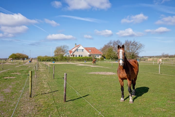Foto 55 van Meyertebos 15