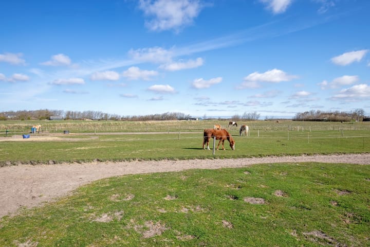 Foto 56 van Meyertebos 15