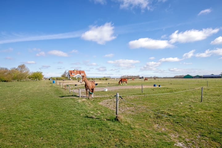 Foto 61 van Meyertebos 15