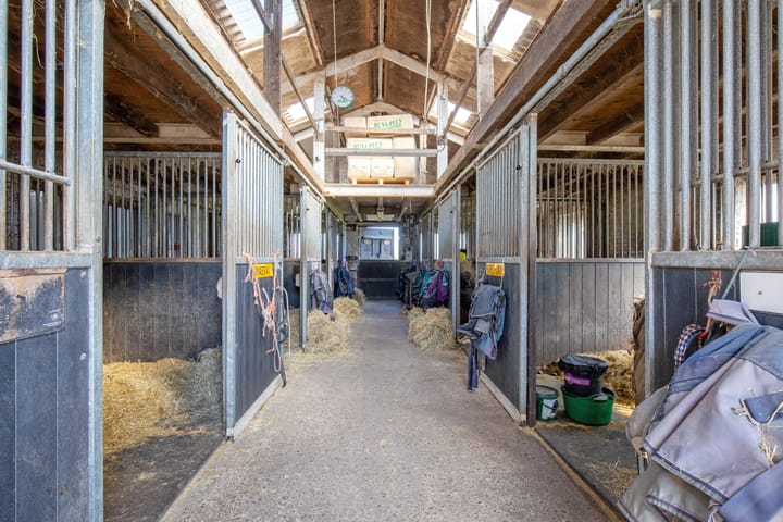 Foto 67 van Meyertebos 15