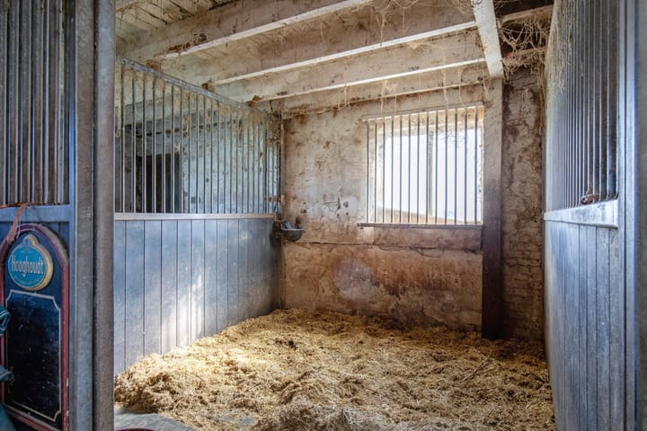 Foto 68 van Meyertebos 15