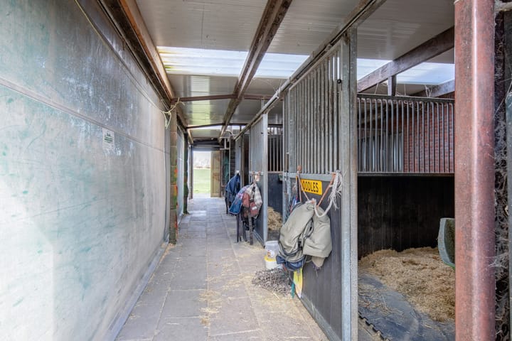 Foto 69 van Meyertebos 15