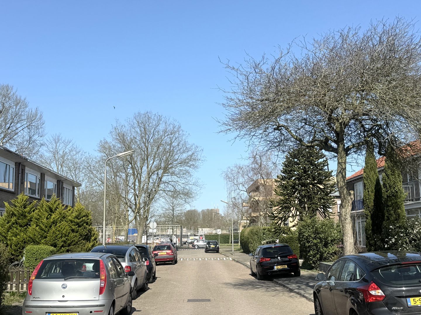 Foto 25 van Dennenstraat 81