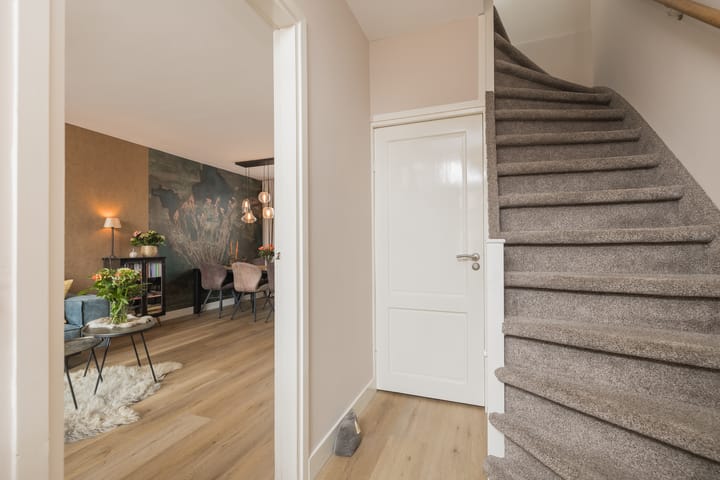 Photo 6 of Nassaustraat 214