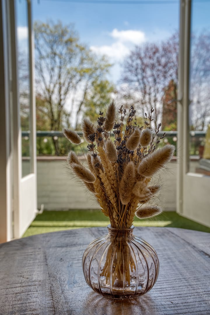 Foto 32 van Witte de Withstraat 56