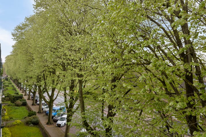 Foto 16 van Henri Hermanslaan 284