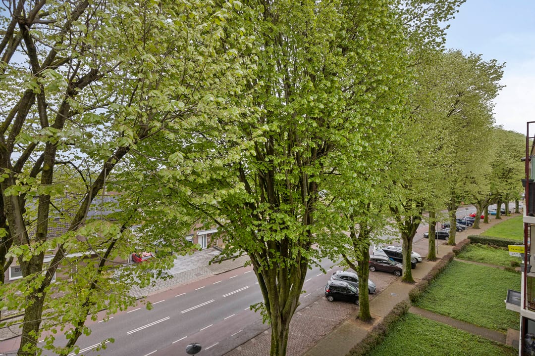 Foto 17 van Henri Hermanslaan 284