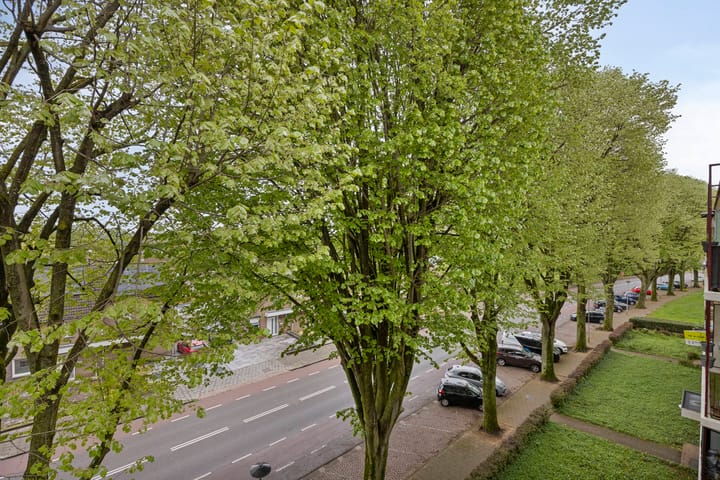 Foto 17 van Henri Hermanslaan 284