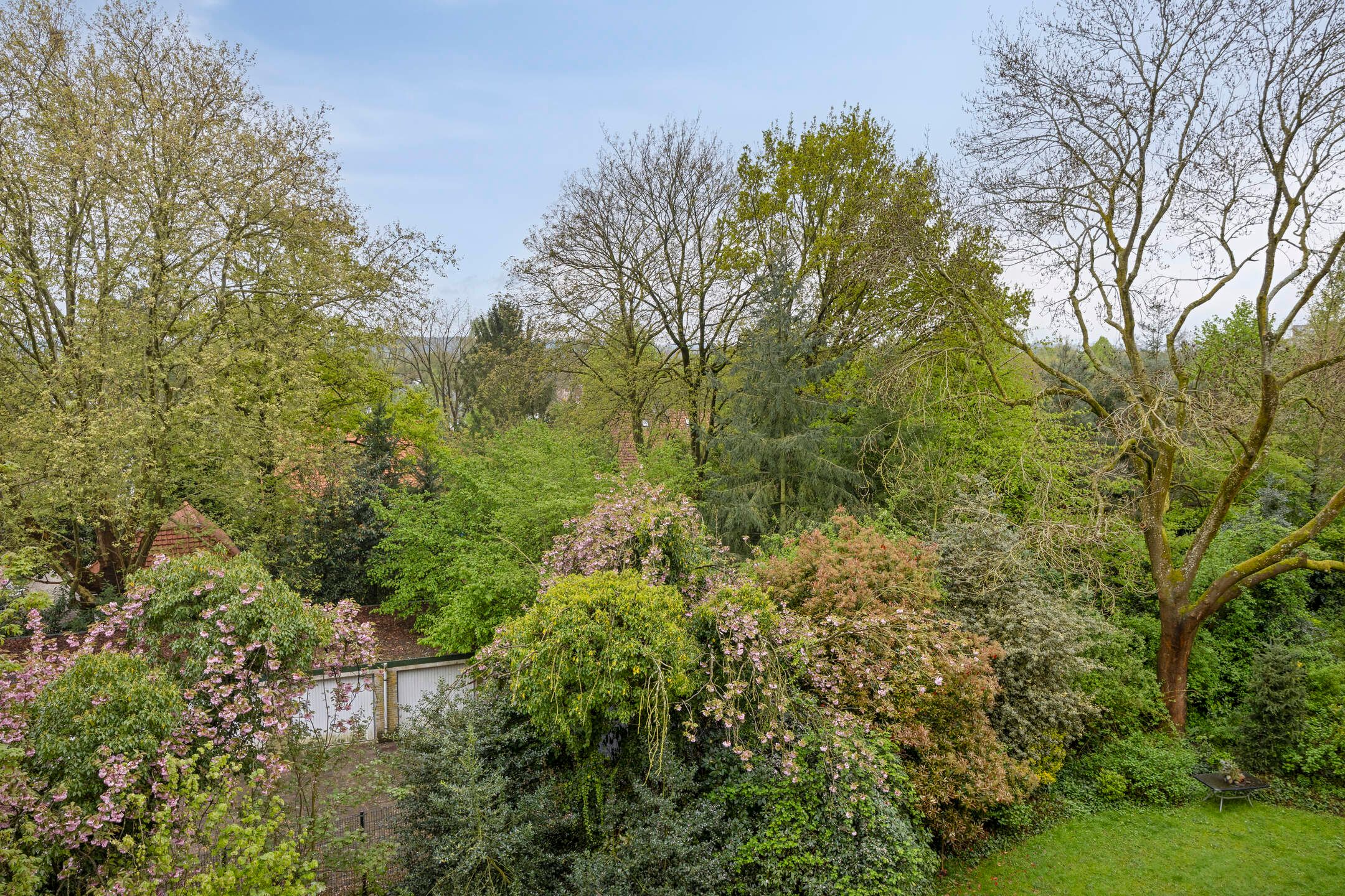 Foto 21 van Henri Hermanslaan 284