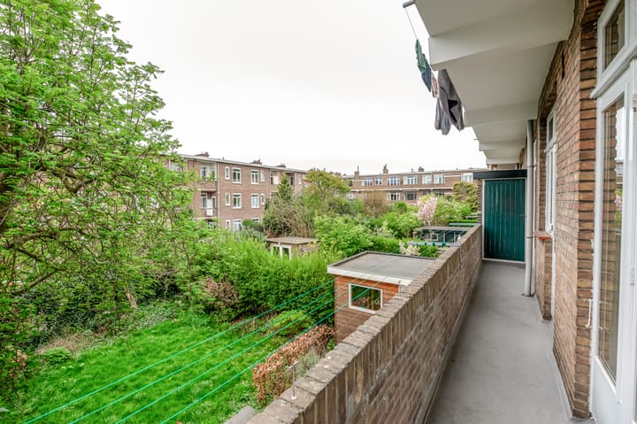 Foto 9 van Carel Reinierszkade 99