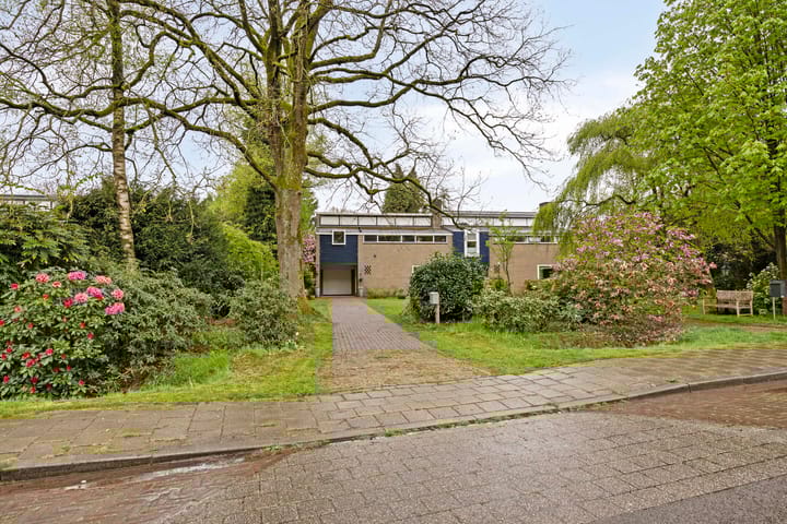 Arnhemsestraatweg 223