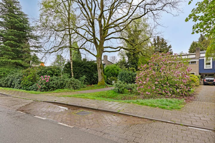 Foto 3 van Arnhemsestraatweg 223