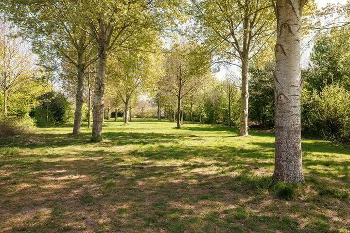 Foto 47 van Razeil 6