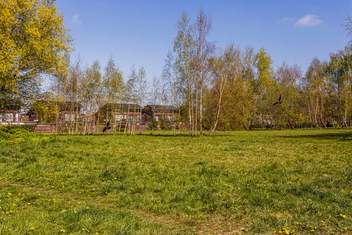 Photo 61 of Augustusweg 58