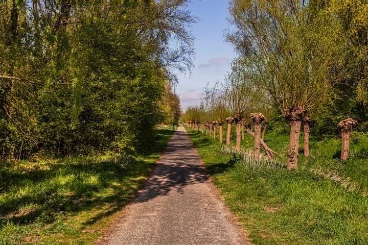 Photo 62 of Augustusweg 58