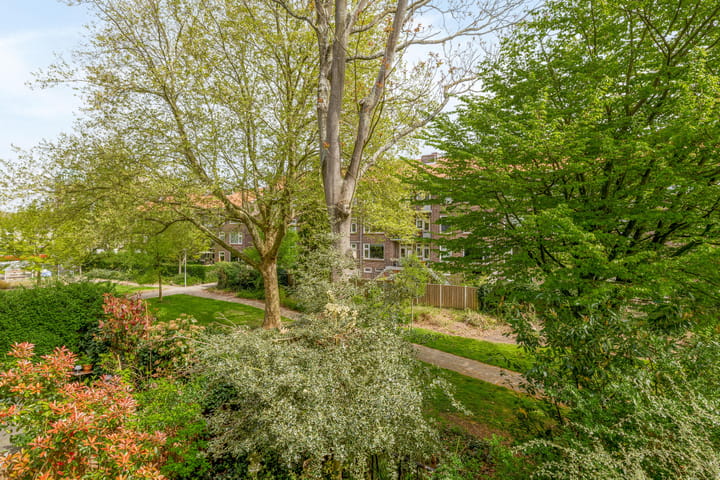 Foto 33 van Carel van Nieveltstraat 22-B