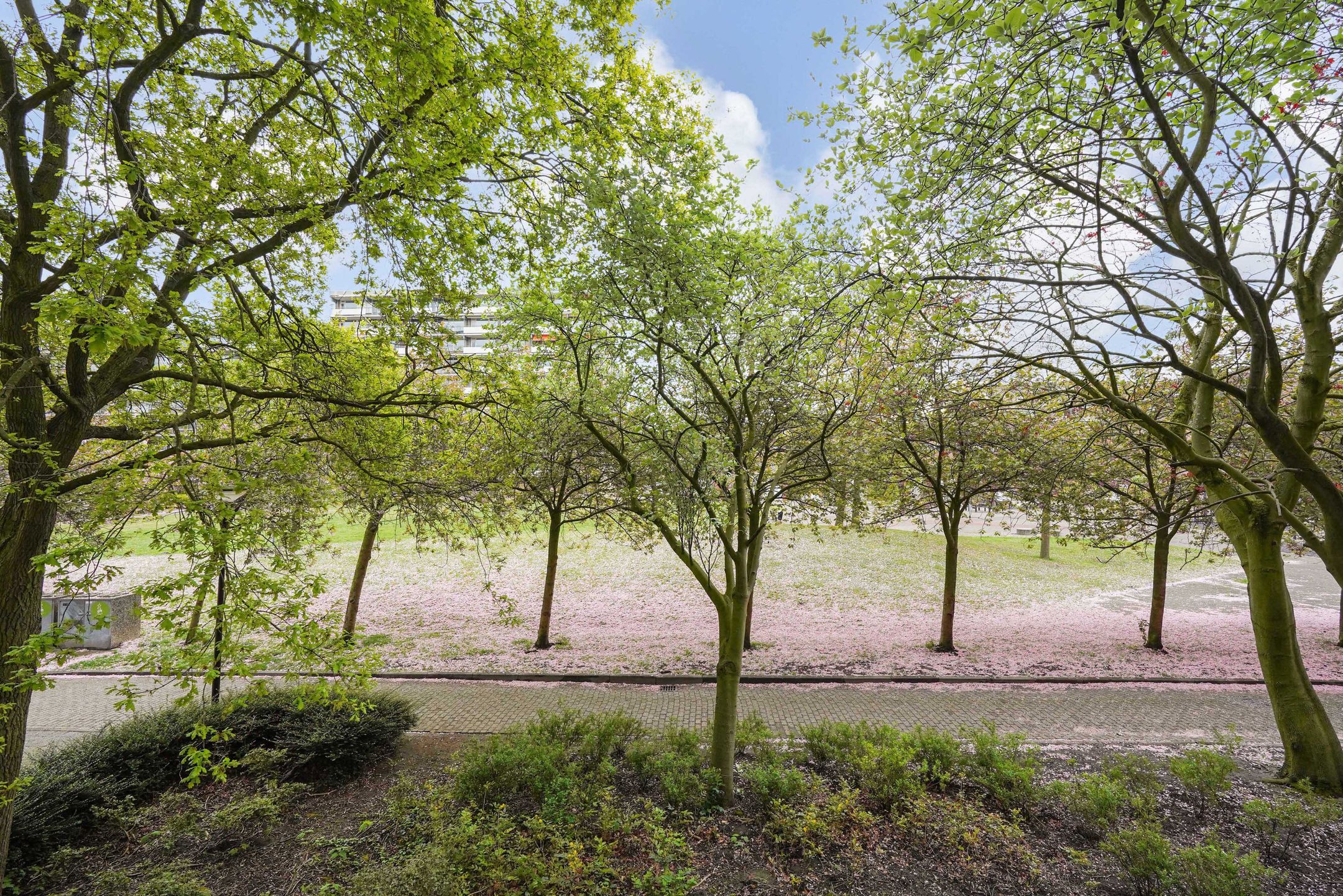 Foto 21 van Prinses Beatrixlaan 365