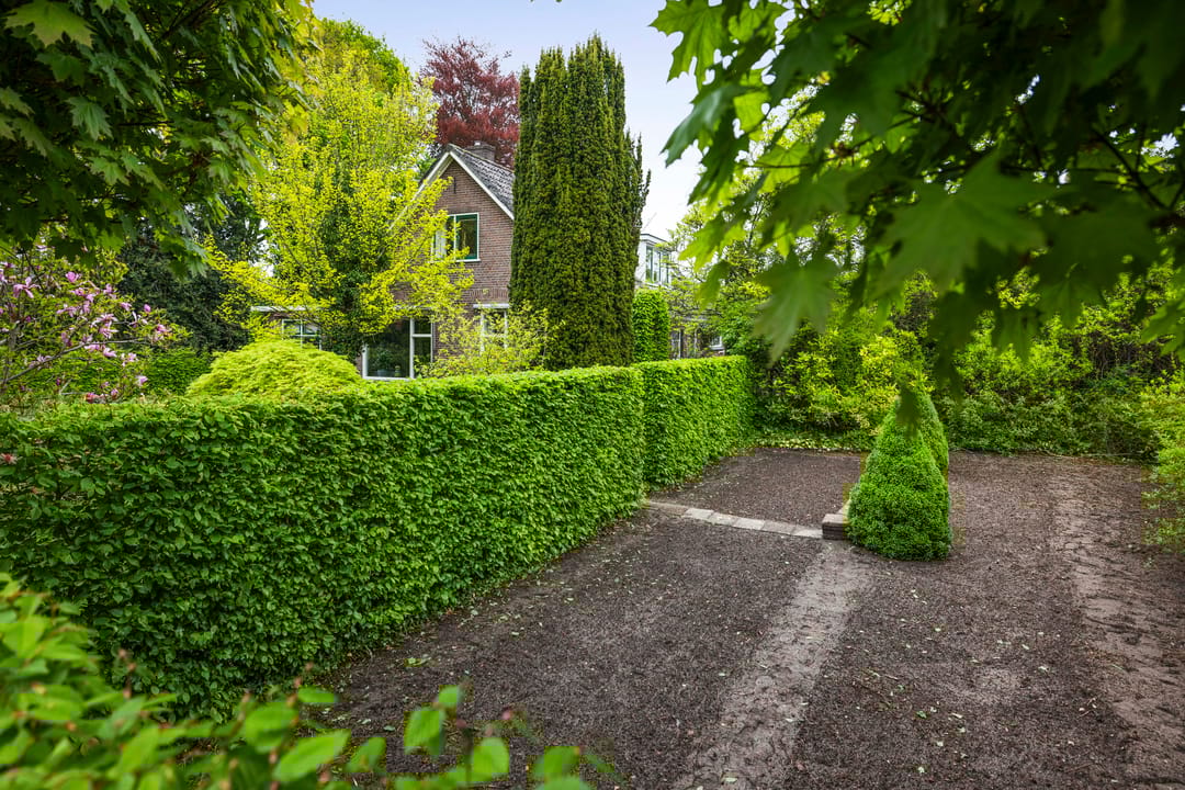 Foto 41 van Terwoldseweg 10