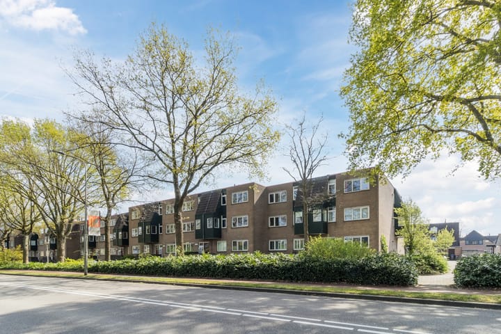 Foto 6 van Rosmolen 56