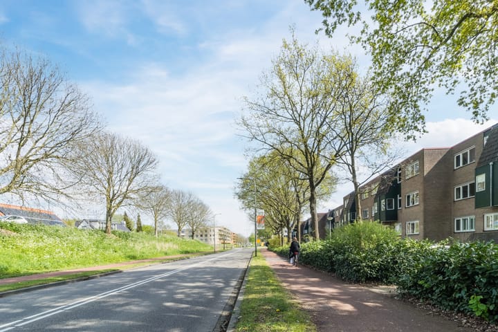 Foto 36 van Rosmolen 56