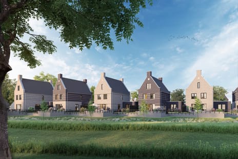 De Huurlingse Terp main image