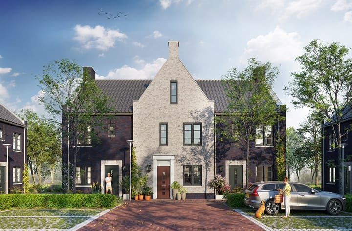De Huurlingse Terp main image