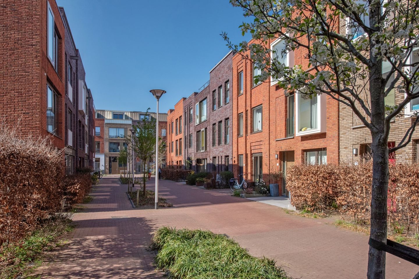 Photo 40 of Gravin Margarethastraat 5