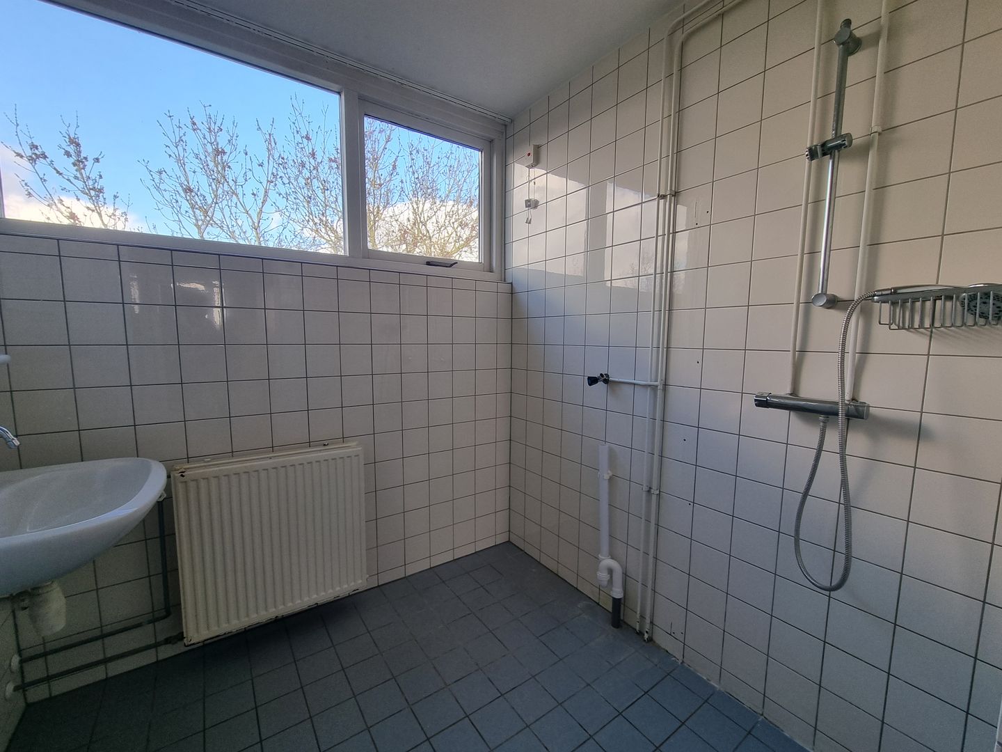 Foto 4 van Lauwers 62