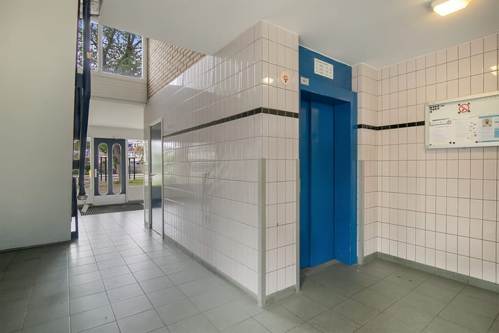 Foto 7 van Lauwers 62