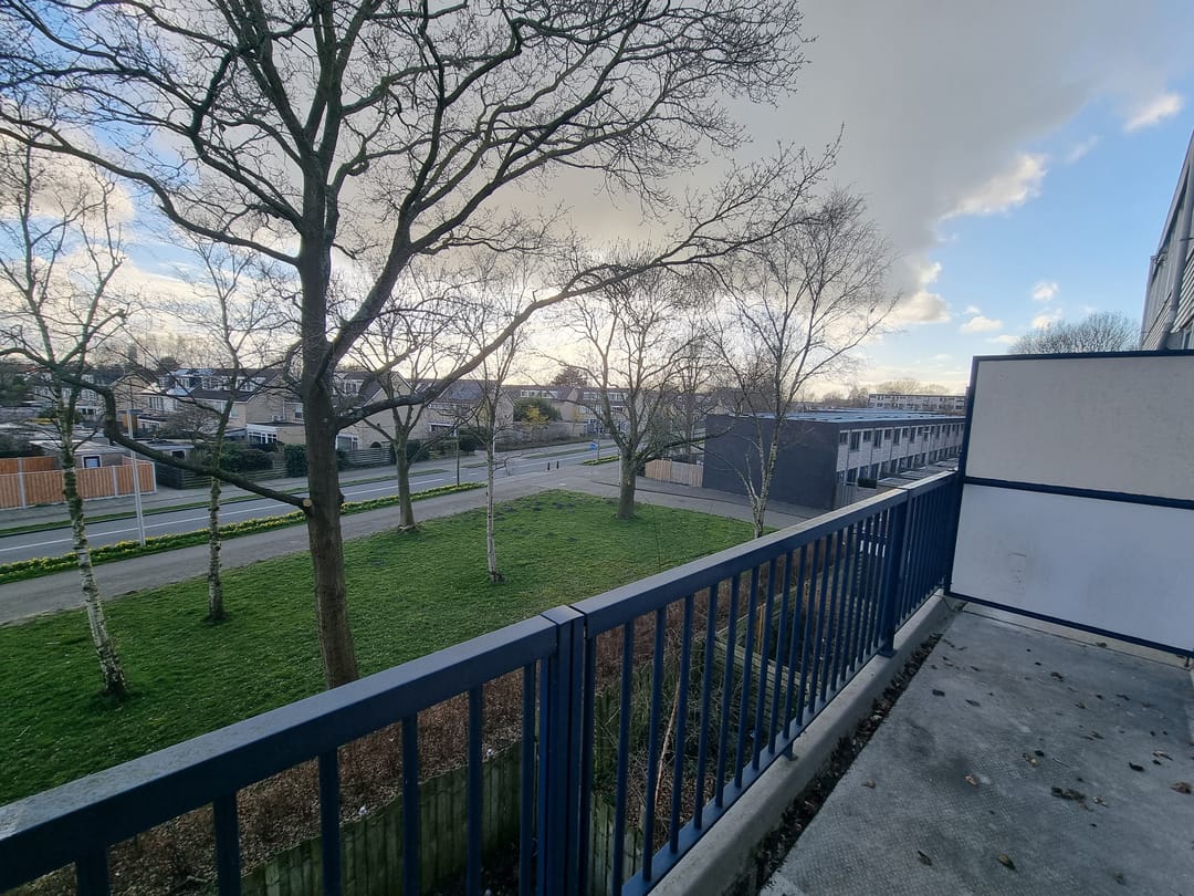 Foto 16 van Lauwers 62