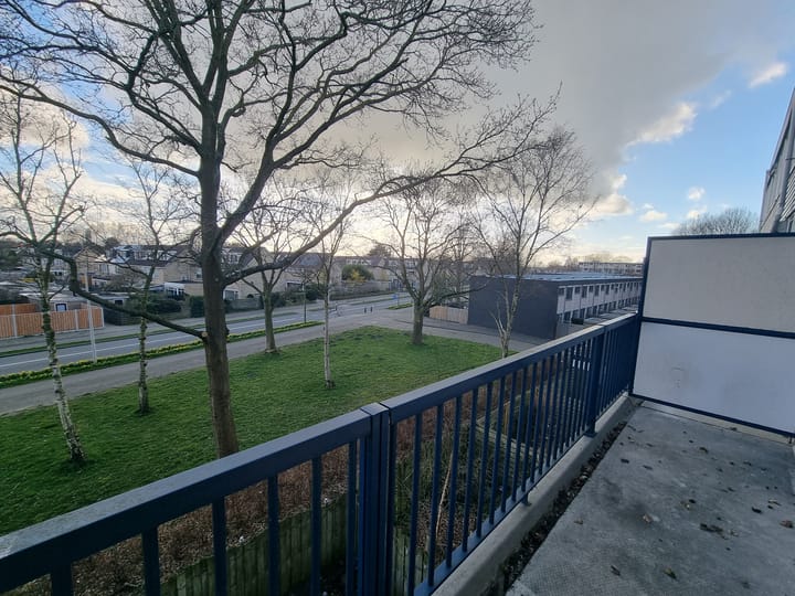 Foto 16 van Lauwers 62