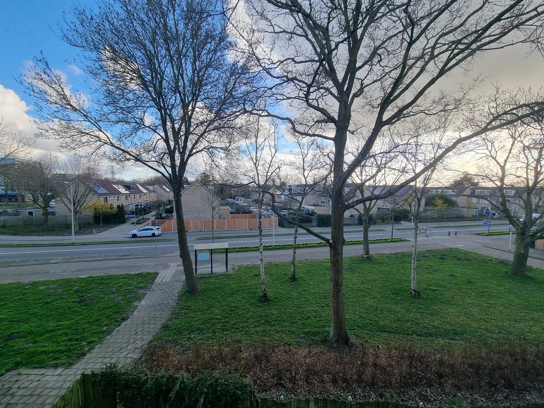 Foto 17 van Lauwers 62