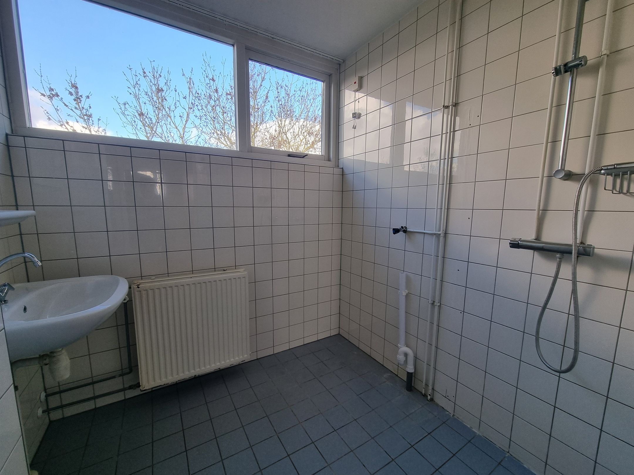 Foto 27 van Lauwers 62