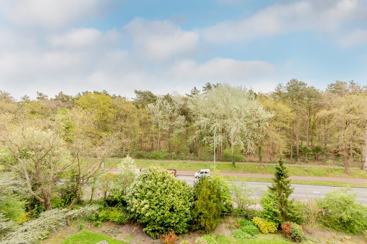 Foto 1 van Merwedeplantsoen 122