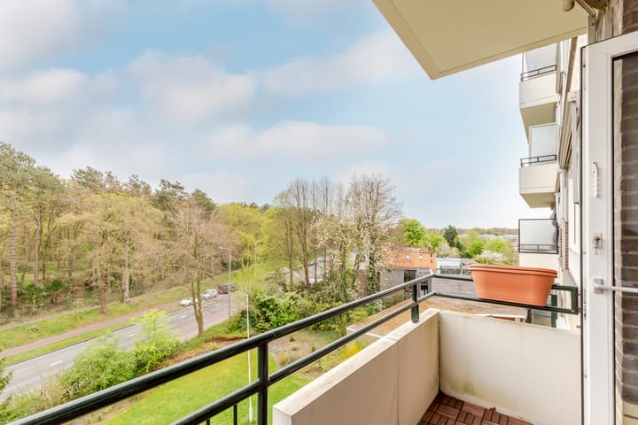 Foto 9 van Merwedeplantsoen 122