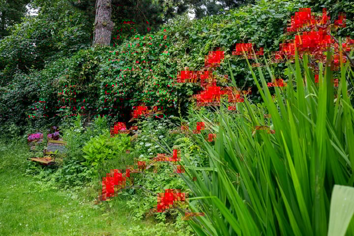 Foto 34 van Alexanderpark 205