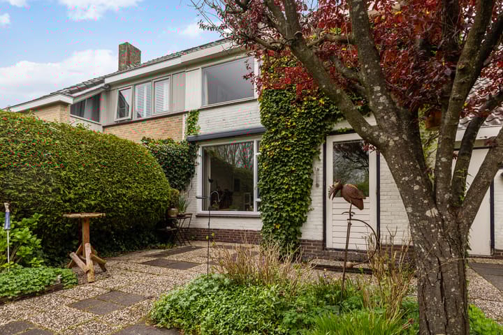 Foto 20 van Bordine 80