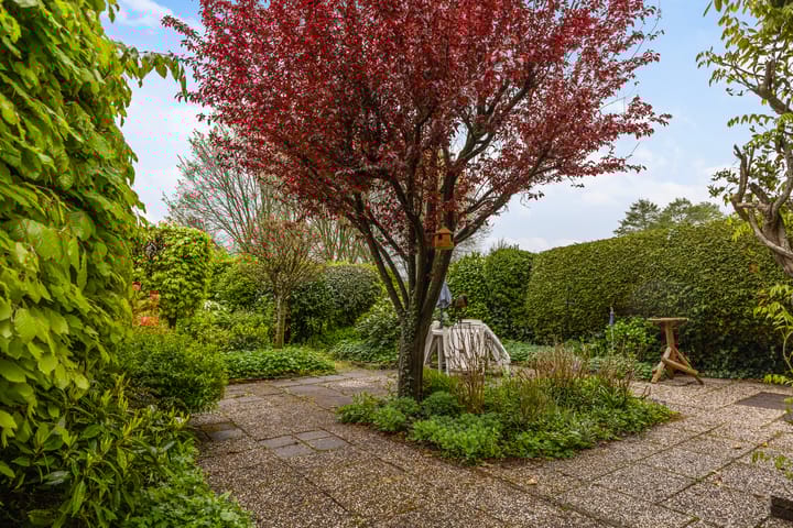 Foto 21 van Bordine 80