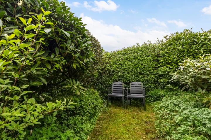 Foto 22 van Bordine 80