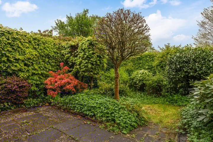 Foto 23 van Bordine 80