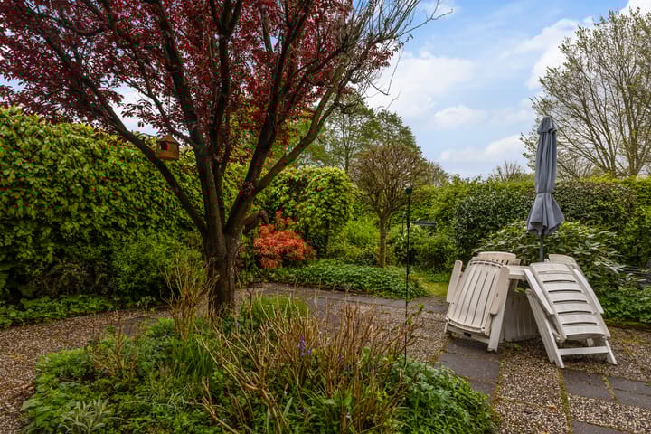 Foto 26 van Bordine 80