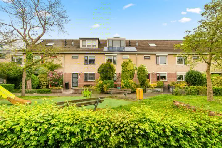 Foto 1 van Kievitsbloem 7