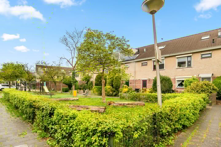 Foto 5 van Kievitsbloem 7