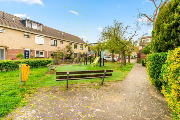 Foto 6 van Kievitsbloem 7