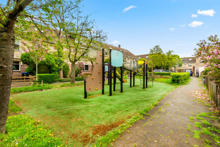 Foto 7 van Kievitsbloem 7