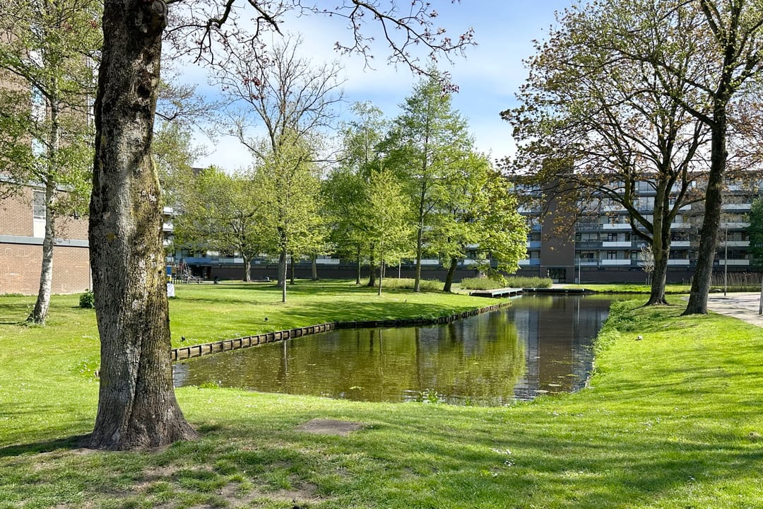 Foto 46 van Dotterweide 40