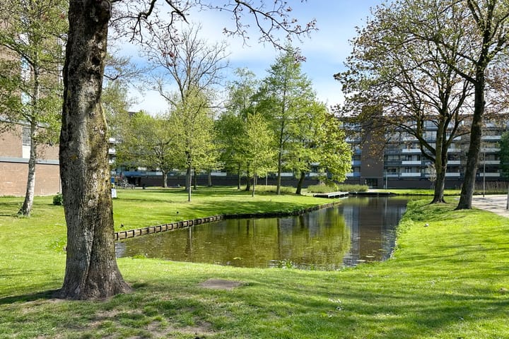 Foto 46 van Dotterweide 40